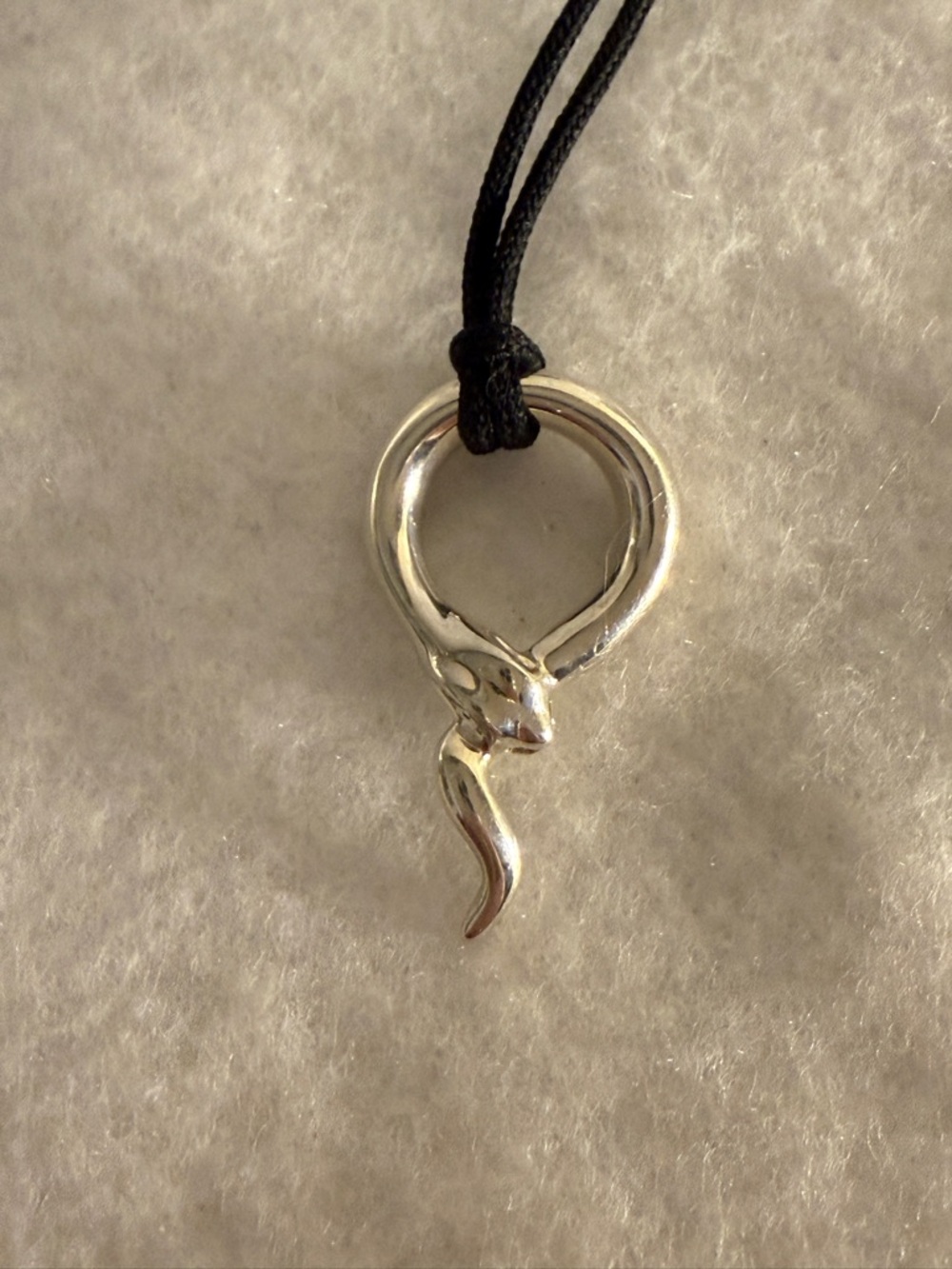 ✨Tiffany & Co Lisa Peretti Sterling Silver Snake Pendant ✨